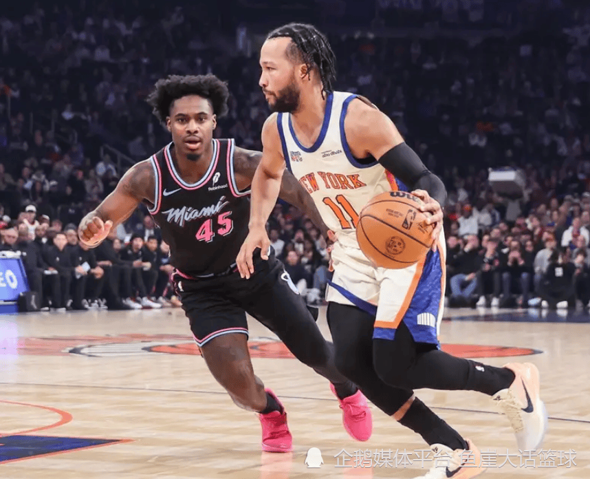 球盟会官方-rookie多大